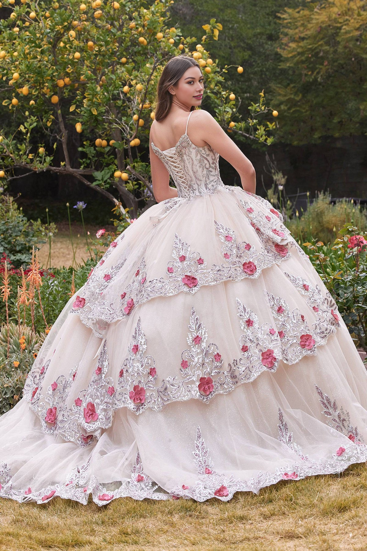 Corset Style Champagne Lace Quinceanera Ball Gown - Quinceanera Dress