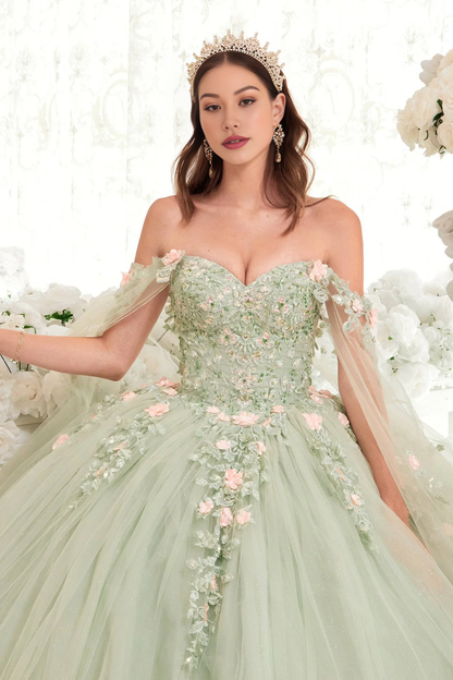 Sparkling Sage Floral Blush Ball Gown Quinceanera Dress Ball Gown Quinceanera Dresses Princess Dress Party Dress with Cape